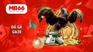 MB66 - Nhà cái cá cược trực tuyến uy tín – Đăng ký nhận ưu đãi 30 Đá gà GA28